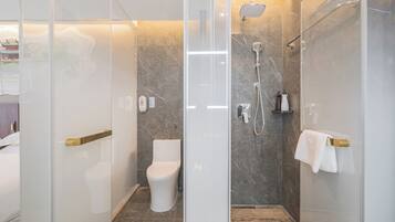 A modern bathroom with a glass shower enclosure, a toilet, and a towel rack.