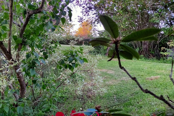 Detall de l'exterior