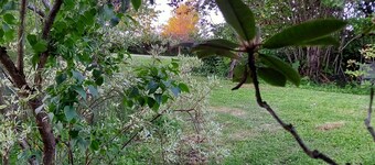La Buissonnière in South Burgundy: whole house with swimming pool