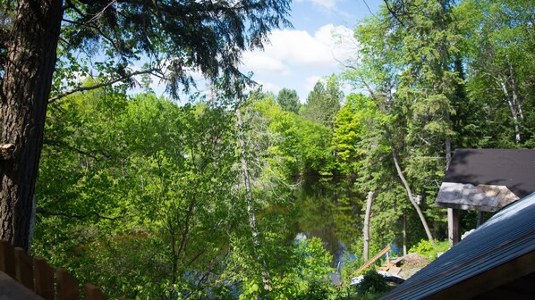 Unclassified image, 1 of 22, button