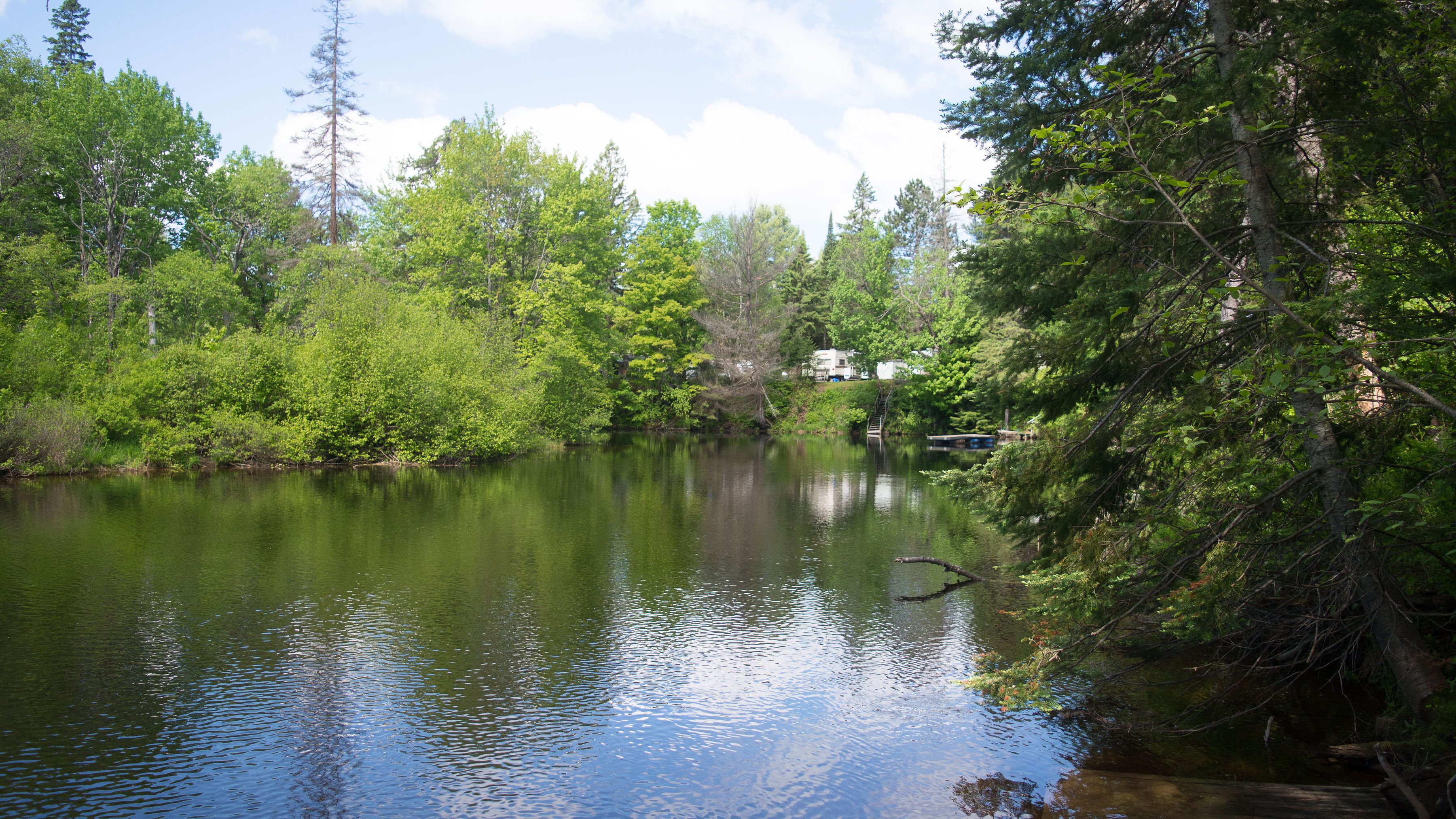Un lago tranquilo rodeado de un bosque denso y una pequeña casa cerca de la orilla.