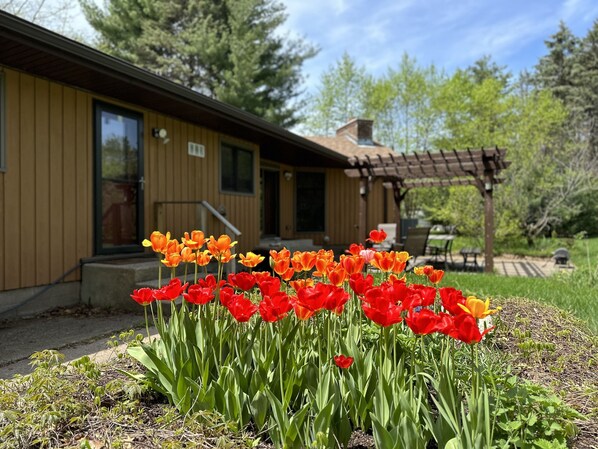 Détail de l’extérieur