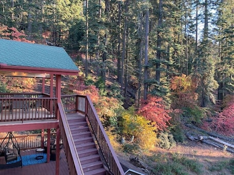 Property grounds. YoBee! Heart of Yosemite. Cozy View Studio. Reservations + Free Breakfast ~U3