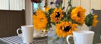 YoBee! Heart of Yosemite. Cozy View Studio. Reservations + Free Breakfast ~U3