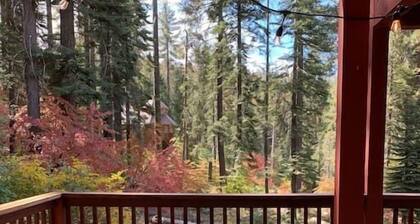 YoBee! Heart of Yosemite. Cozy View Studio. Park Entrance + Free Breakfast ~L8