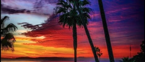 Beach/ocean view