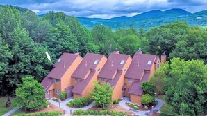 A row of terraced houses with pitched roofs, surrounded by dense greenery and mountains in the background. - An Amazing Mountain Getaway! (Bartlett)