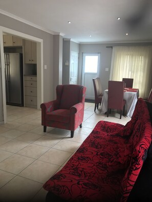 TV connectée, cheminée, lecteur de DVD