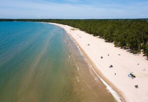 A beach with a sandy shore and a forested area.
