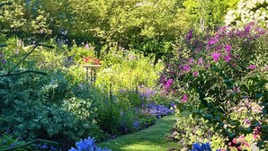 Ein üppiger Garten mit verschiedenen blühenden Pflanzen und einem gepflegten Rasen.