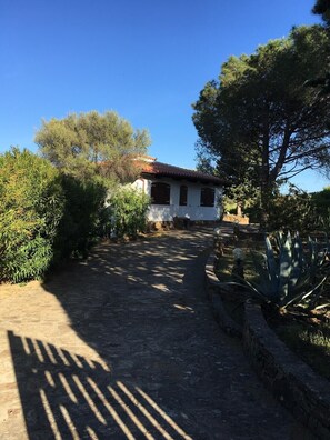 A rustic building with a dirt path leading to it, surrounded by greenery and trees.
