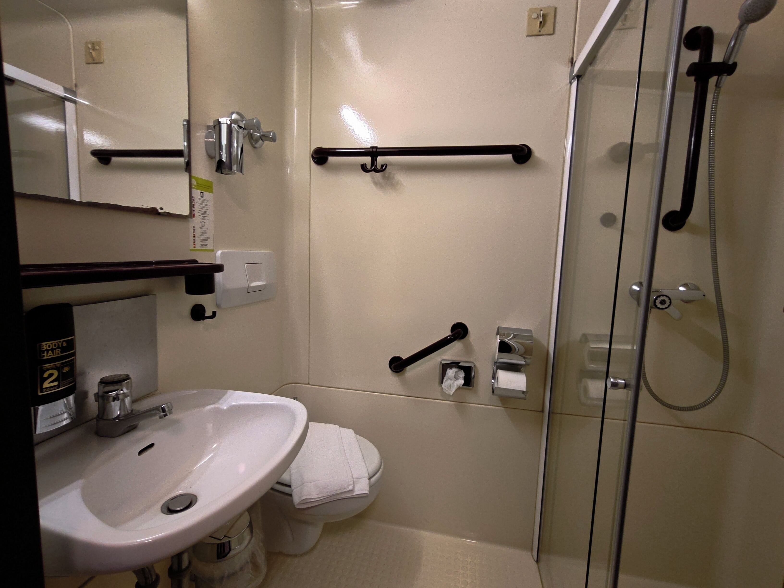 Ein Badezimmer mit Waschbecken, Toilette und Dusche.