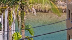 A view of a body of water with palm trees in the foreground. - Sea Bliss (KINGSCLIFF)