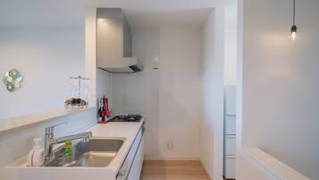 Une cuisine moderne dotée d’un évier en acier inoxydable, d’une cuisinière à gaz et d’un four encastré. On y trouve également un réfrigérateur blanc et un luminaire fixé au mur.