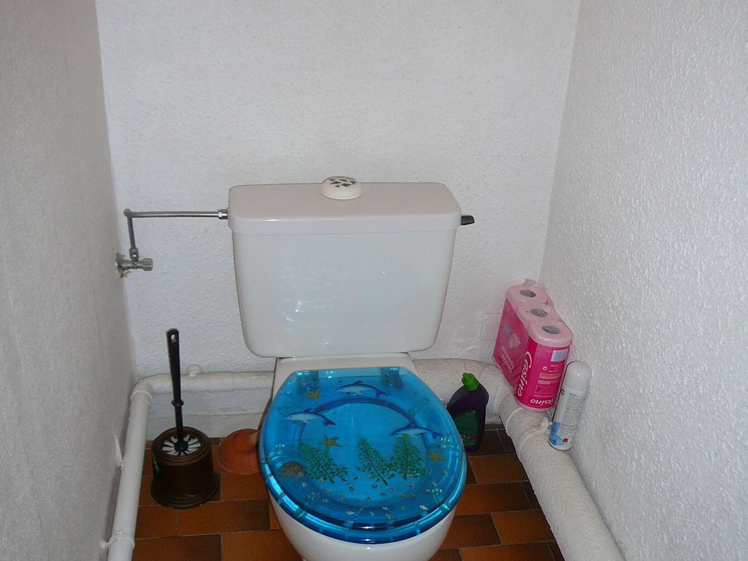 Un baño con inodoro, un desatascador y papel higiénico.