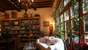 A cozy living room with a sofa, a bookshelf, a dining table, and a large window with plants.