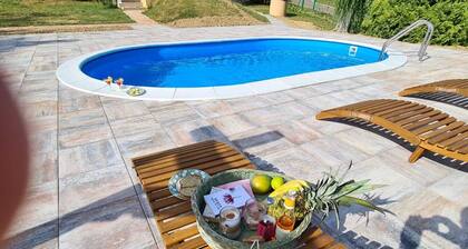 Country house with swimming pool surrounded by pure nature