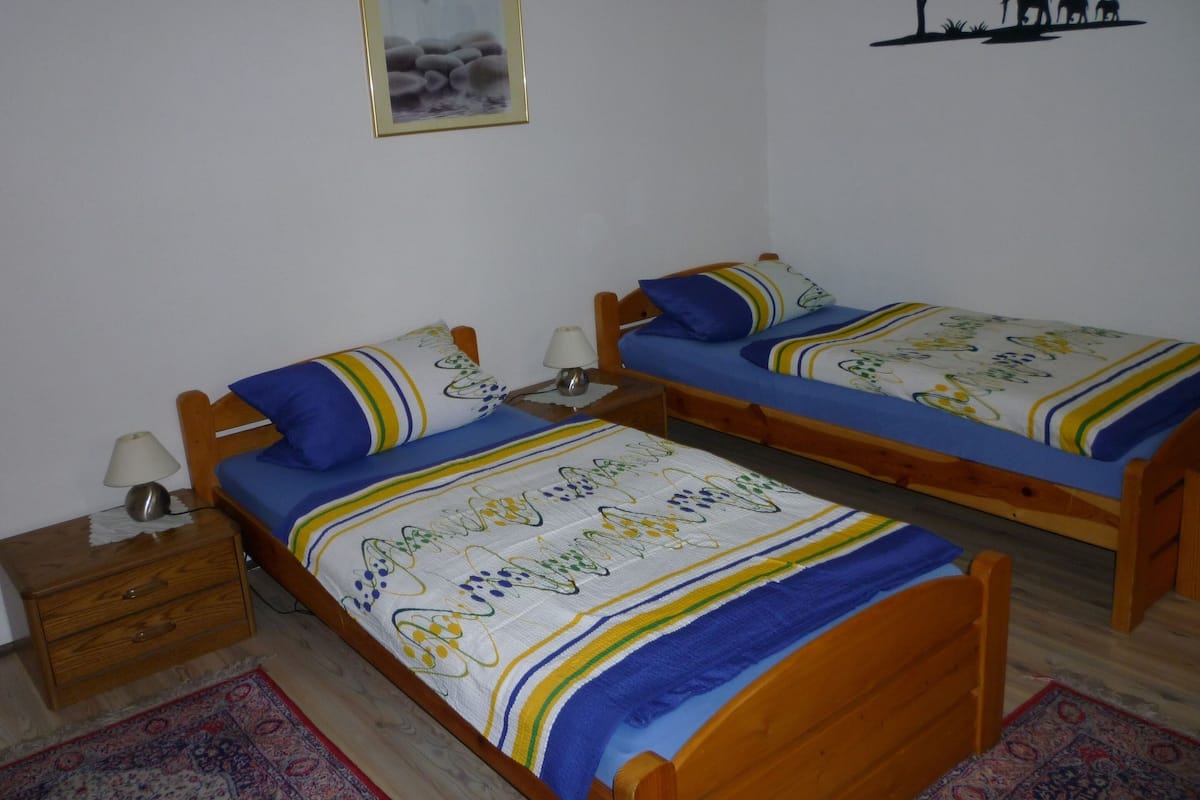 A bedroom with two wooden beds, each with a blue and white bedspread, a bedside table with a lamp, and a nightstand.
