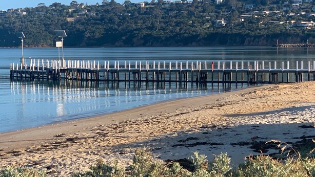 Ein Strand mit einer Holzsteganlage, die sich über ruhiges Wasser erstreckt, umgeben von viel Grün und Häusern im Hintergrund.