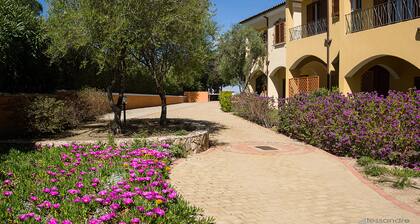 Comfortable three-room apartment near Porto Pollo