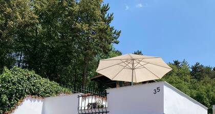 Apartment 1, vacation apartment near Opatija/Rijeka from private owner, in Viskovo, in a quiet location