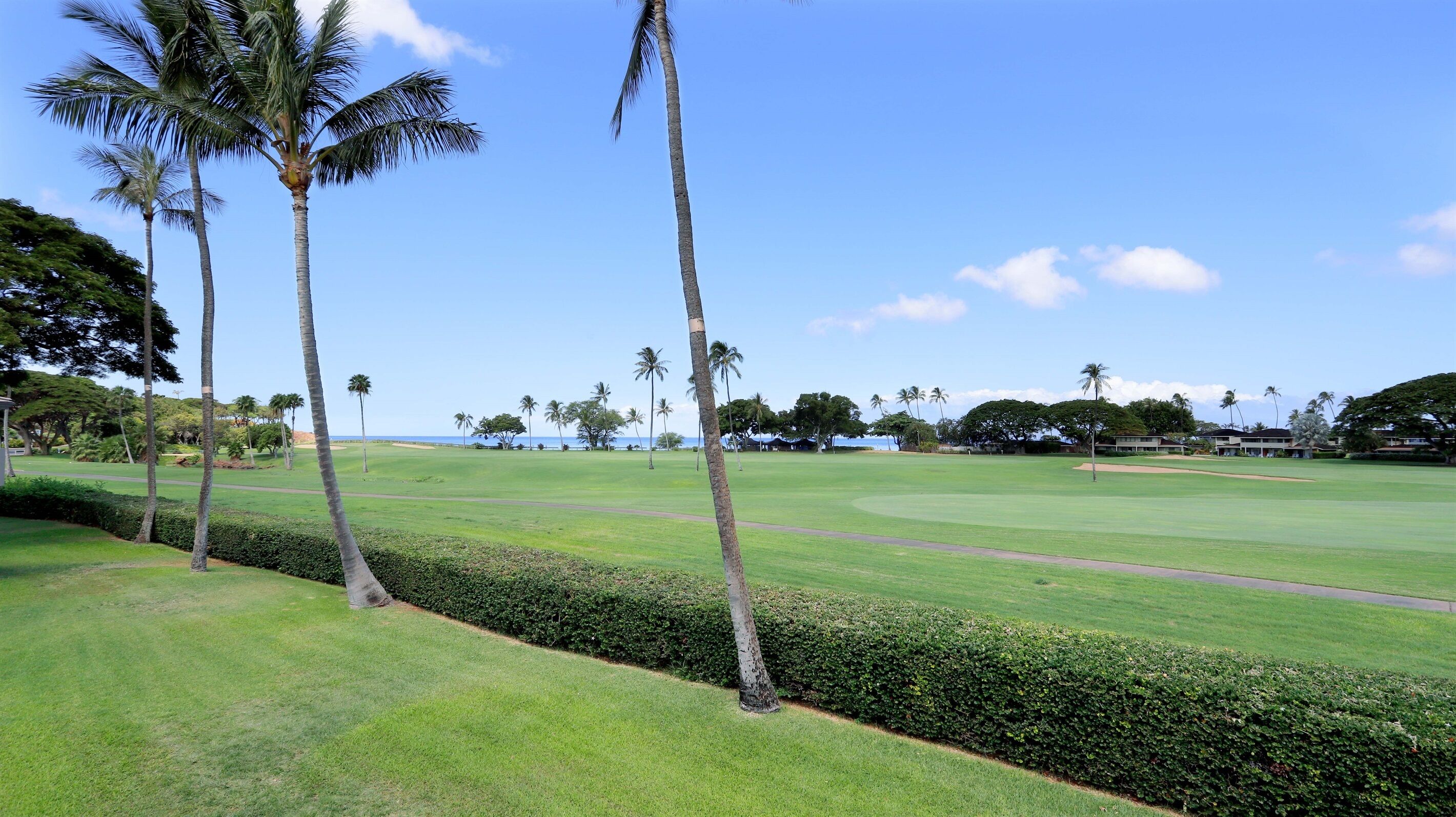 J207 Ocean Golf Course Views