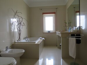 Combined shower/tub, hair dryer, bidet, towels