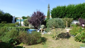 Ein Garten mit Schwimmbad, verschiedenen Pflanzen und einem hohen Baum.