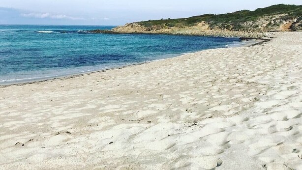 Ein sandiger Strand mit klarem, blauem Wasser und einem Felsen im Hintergrund.