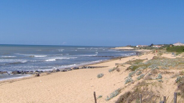Ein sandiger Strand mit sanften Wellen, blauem Himmel und vereinzelter Vegetation.