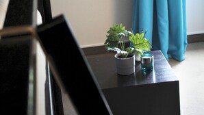 Une pièce moderne avec un canapé noir, une petite table sur laquelle est posée une plante en pot et une fenêtre ornée de rideaux bleus.