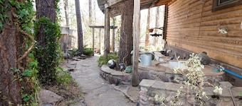 Private Mountain True Log Cabin Retreat with 2 Master Bedrooms