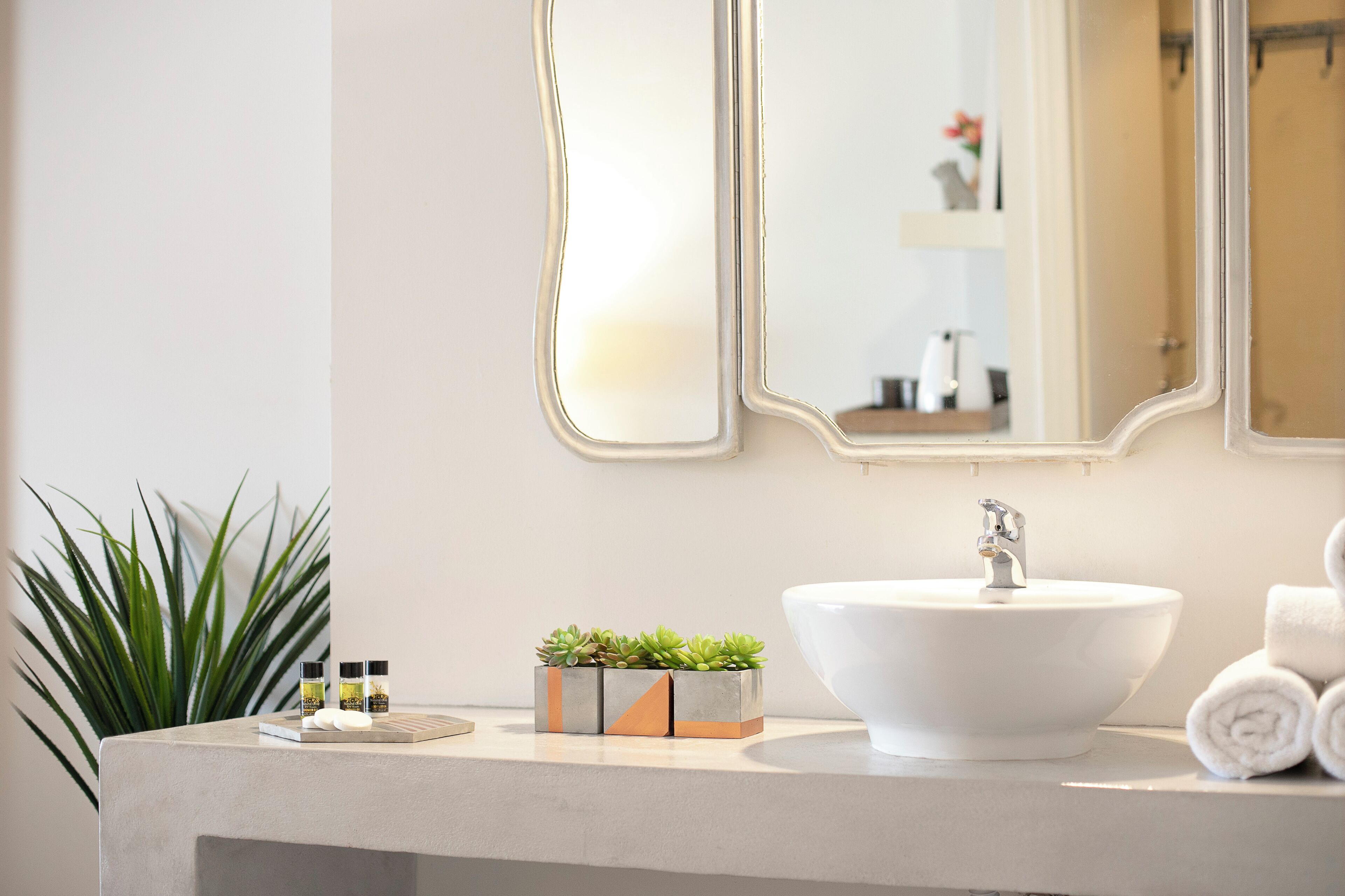 Ein Badezimmer mit einem weißen Waschbecken, einem Spiegel und einer Pflanze auf der Ablagefläche.