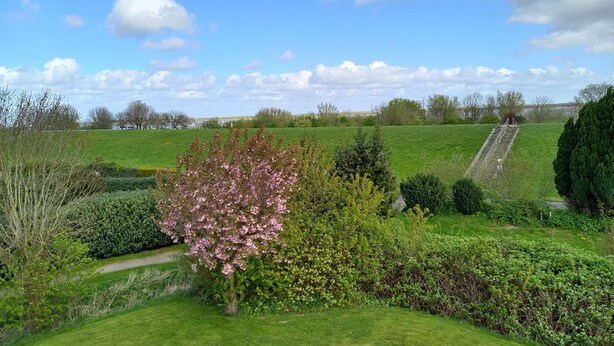 A well-maintained garden with a variety of shrubs and a prominent pink flowering tree. - Vacation home Gerken - Apartment in the attic (Drochtersen)