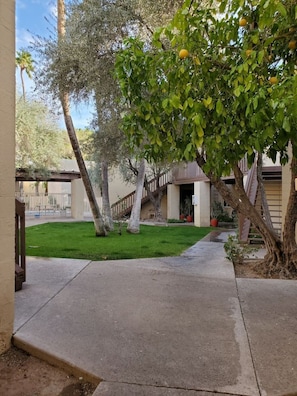 Property grounds - Condo *Zen* King N. Phoenix 30 (Phoenix)
