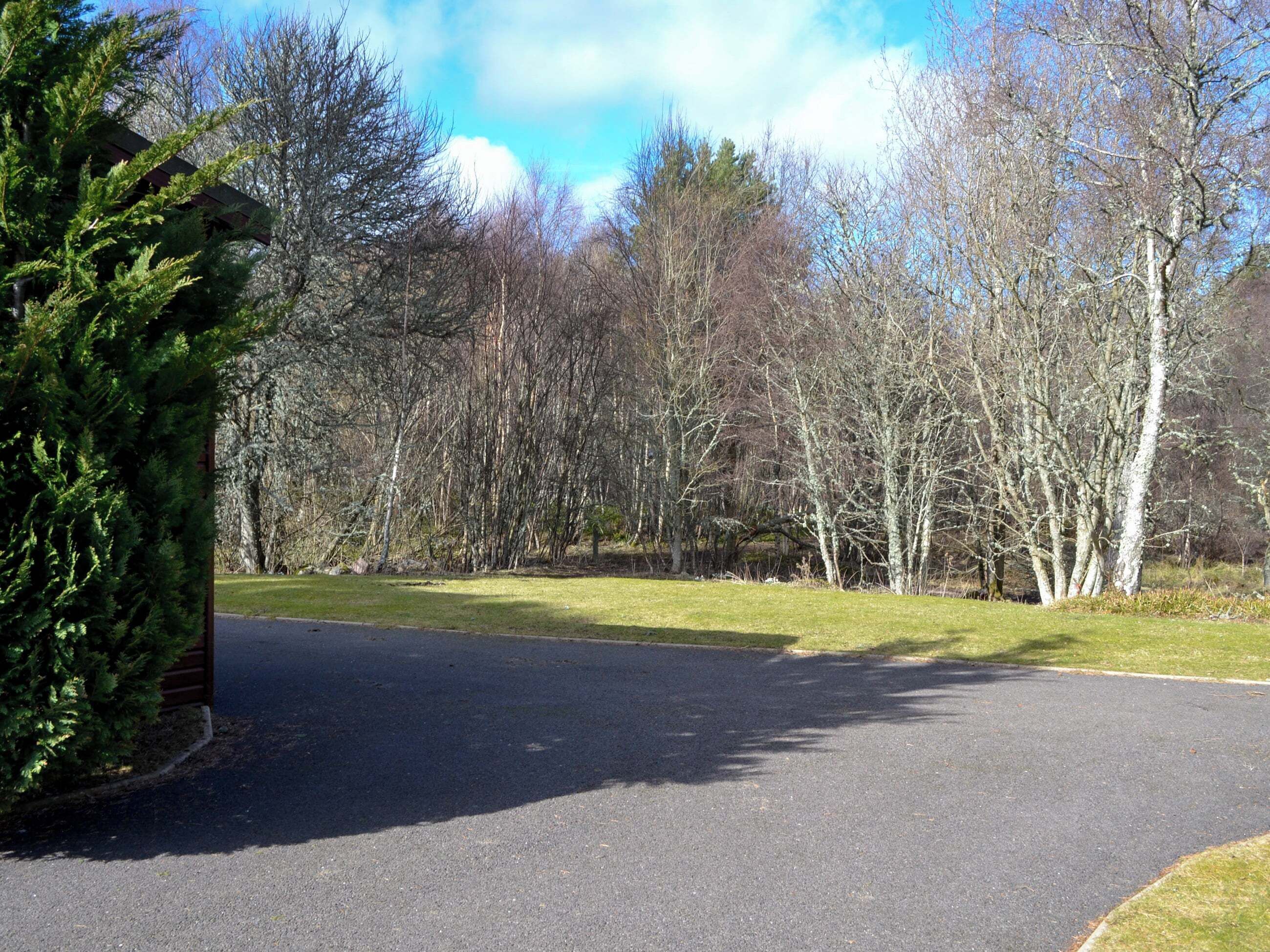 Une allée pavée mène à un bâtiment entouré d’arbres.