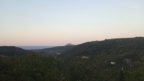 Paisaje rural con colinas ondulantes y cielo despejado.