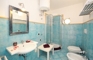 Shower, hair dryer, bidet, towels