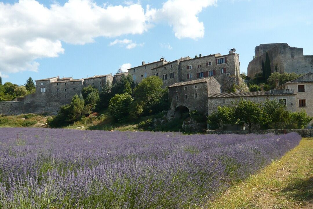 Un bâtiment historique en pierre, à plusieurs niveaux, entouré d’un champ de lavande.