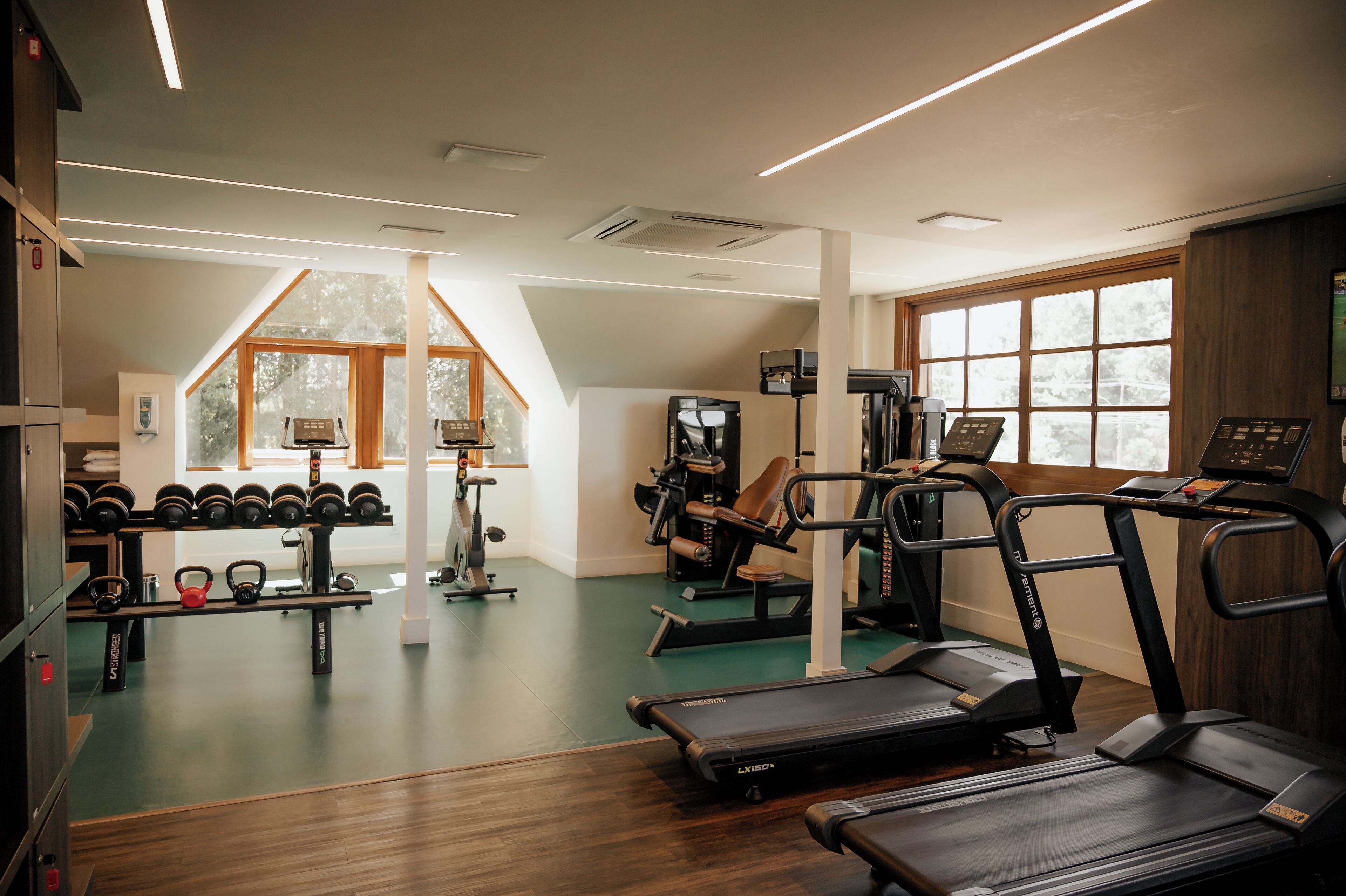 A gym with treadmills, weight machines, and free weights.