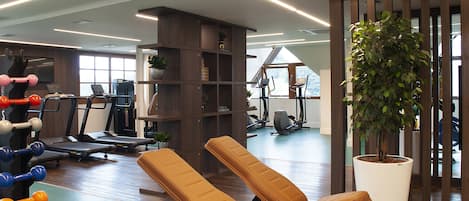 A gym with exercise equipment, a treadmill, and a large potted plant.