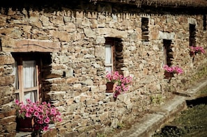 Detalle exterior