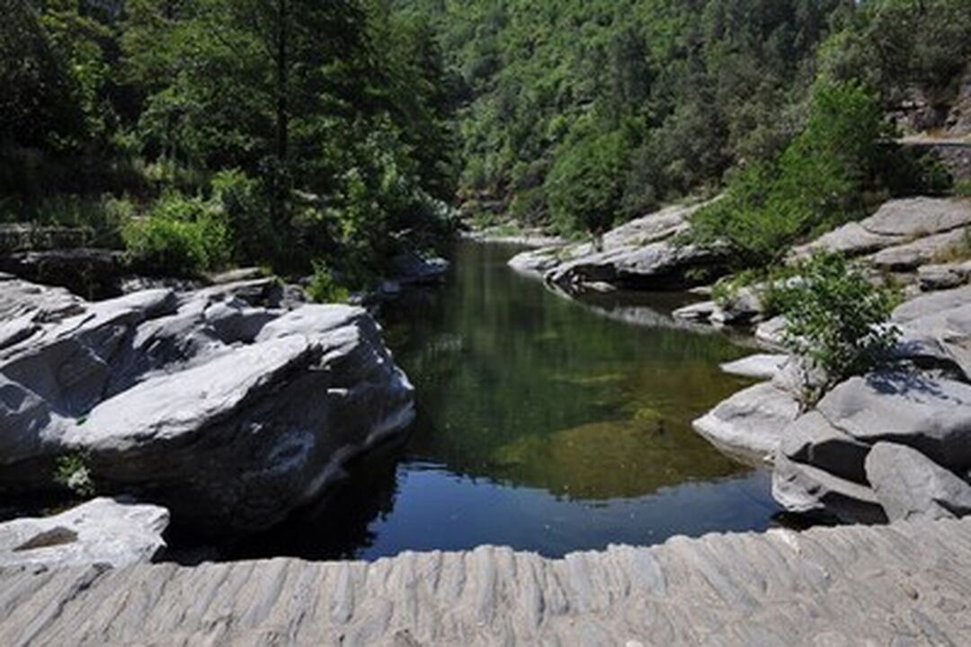 Paisatge natural amb un riu, roques i vegetació densa.
