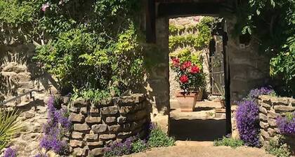 La Cigale - in former vineyard, nature park, vacation apartment for 2 people