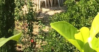 La Cigale - in former vineyard, nature park, vacation apartment for 2 people