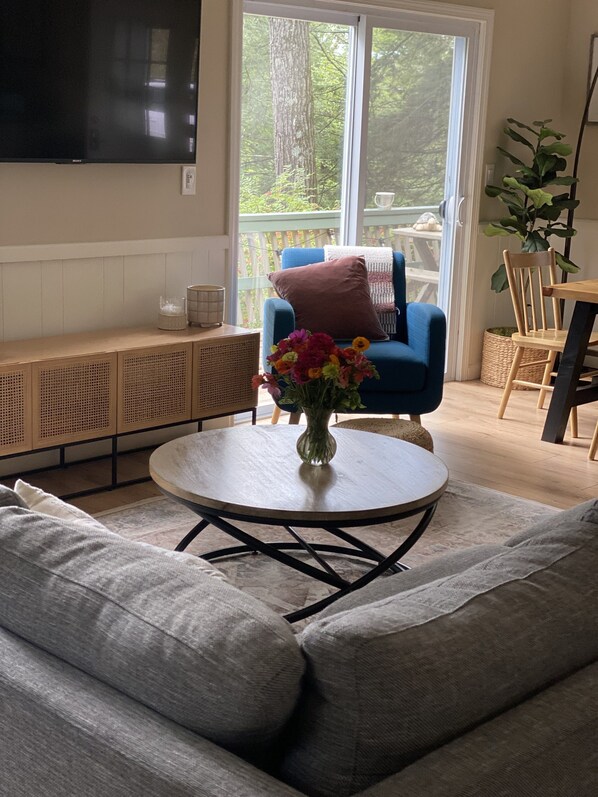 Smart TV, fireplace, table football, books