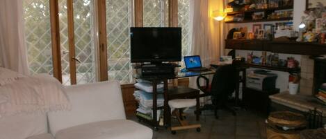 TV, fireplace, DVD player, books