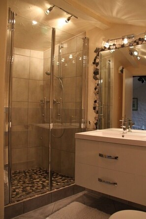 Shower, hair dryer, towels