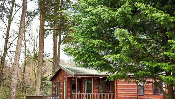 Un chalet rustique doté d’une terrasse en bois, entouré d’arbres et d’un jardin bien entretenu.