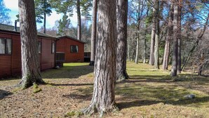 A cabin with a deck, surrounded by tall trees in a forested area. - 2 bedroom accommodation in Dinnet, near Ballater (Dinnet, near Ballater)